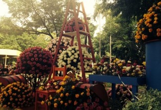 Carnaflores, em Holambra, tem desfile de carros alegóricos e distribuição de flores