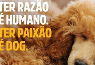 Campanha da Special Dog propõe “Dogalizar” a vida