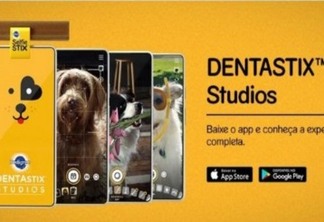 Pedigree cria app de fotos com reconhecimento facial para cães