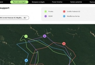 Moss leva à COP28 inteligência artificial para proteger a Amazônia