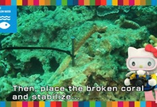 Hello Kitty faz parceria com ONU para preservação dos recifes de corais 