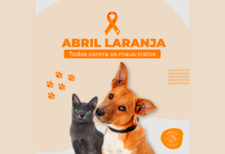 Abril Laranja alerta contra a crueldade animal