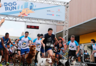 Pet Society realizará ativação durante a SP Dog Run