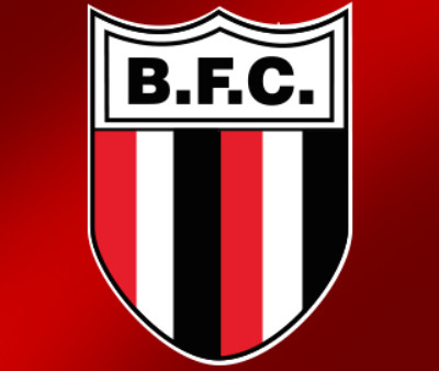 botafogo logo