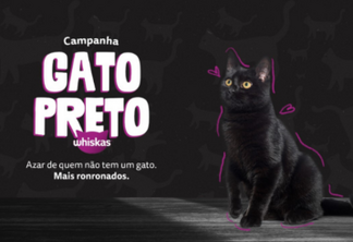 Whiskas promove campanha de conscientização no Mês do Gato Preto