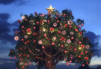 Lux Botanicals transforma árvore de copaíba em símbolo natalino com FOOH