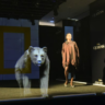 Por que a Nat Geo desfilou com animais holográficos na New York Fashion Week?